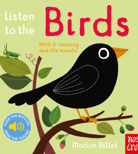 <a href="https://www.iskiliga.com/?book-author=nosy-crow">Nosy Crow</a> tarafından Çocuklar için Doğa Kitapları – Listen to the Birds</a>