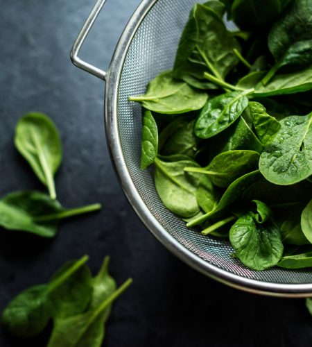 bebek beslenmesinde semizotu