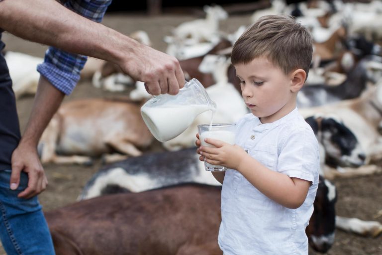 7 Important Reasons to Give Goat Milk to Your Baby