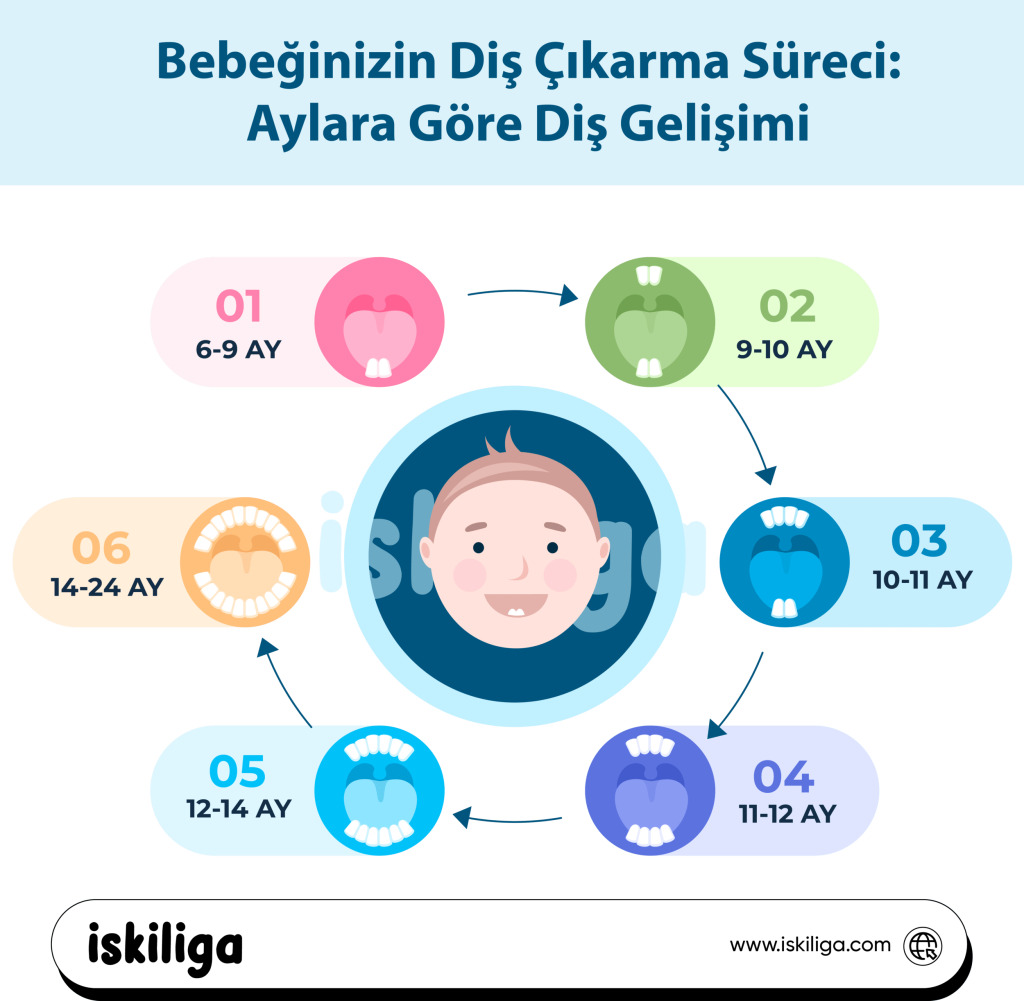 bebeklerde diş çıkarma evreleri