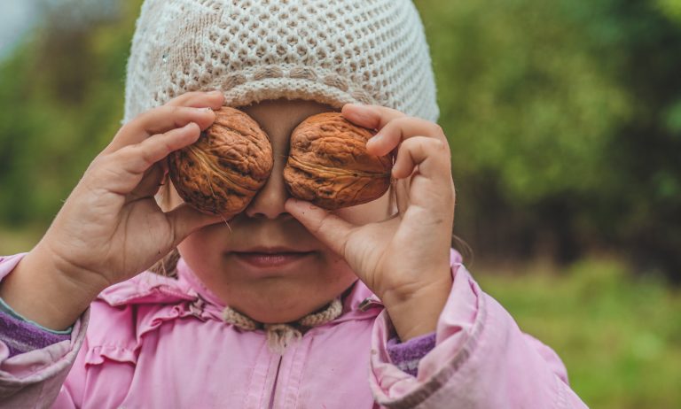 Bebeklerde Ceviz Beyin Gelişimi: Hafızayı Güçlendiren Mucize Gıda